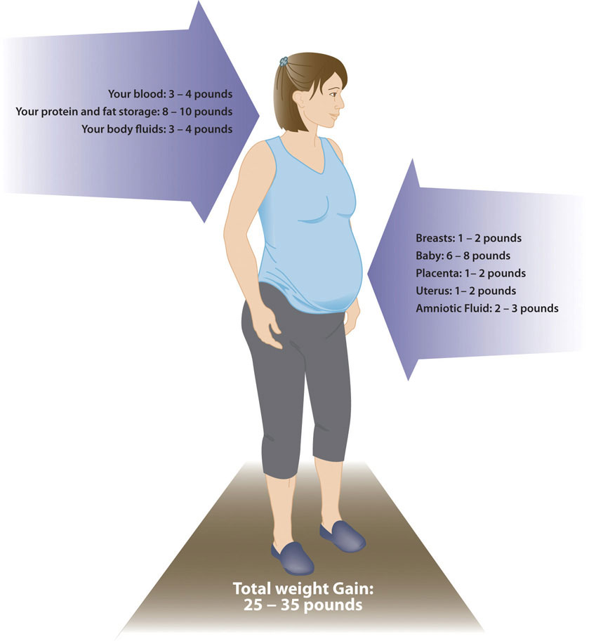 Figure of woman with labels of areas of weight gain