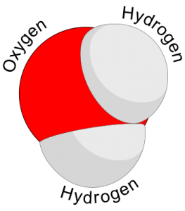 An illustration of a water molecule: 1 oxygen molecule in red, 2 hydrogen molecules in white