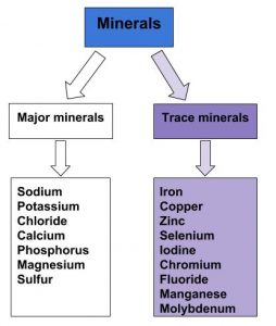 List of major and trace minerals