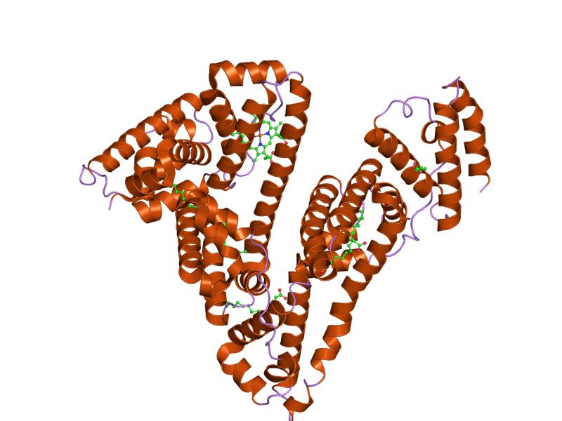 3D rendering of the protein albumin