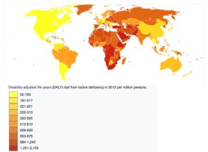 Deaths Due to Iodine Deficiency Worldwide in 2012