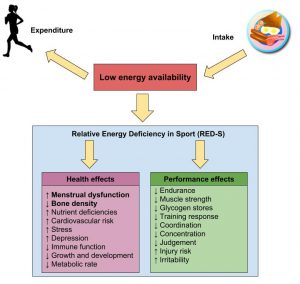 Diagram showing energy availability and health/performance effects