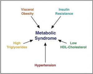 Metabolic Syndrome: A Combination of Risk Factors Increasing the Chances for Chronic Disease