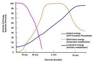 The Effect of Exercise Duration on Energy Systems