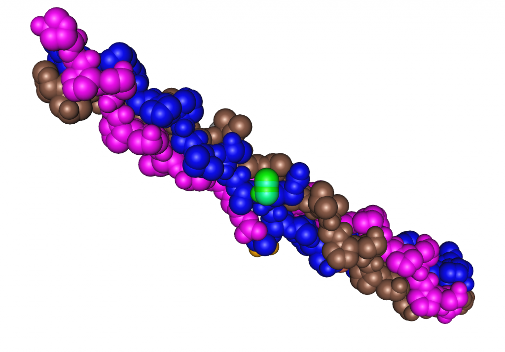 3D rendering of collagen triple helix protein