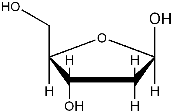 Chemical structure of Deoxyribose, a sugar molecule
