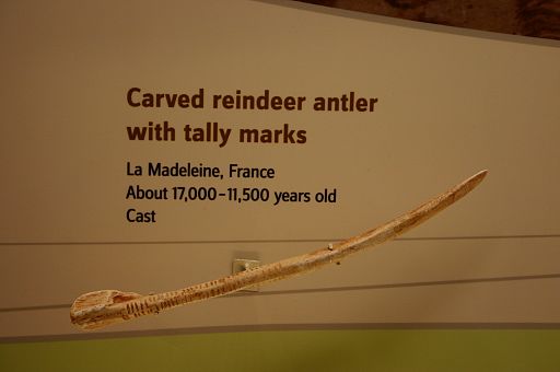 Carved reindeer antler with tally marks (4697848661)